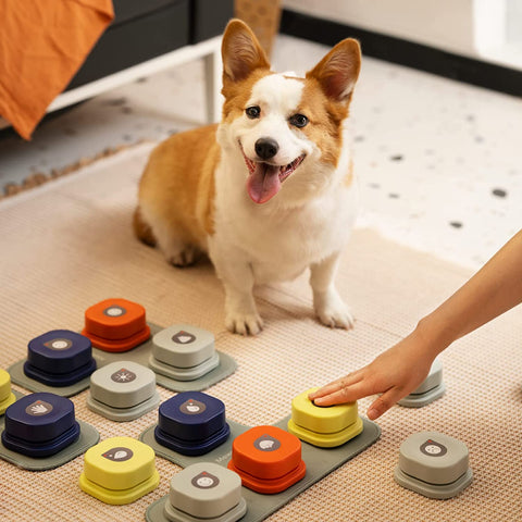 Anti-Bark Collar- 