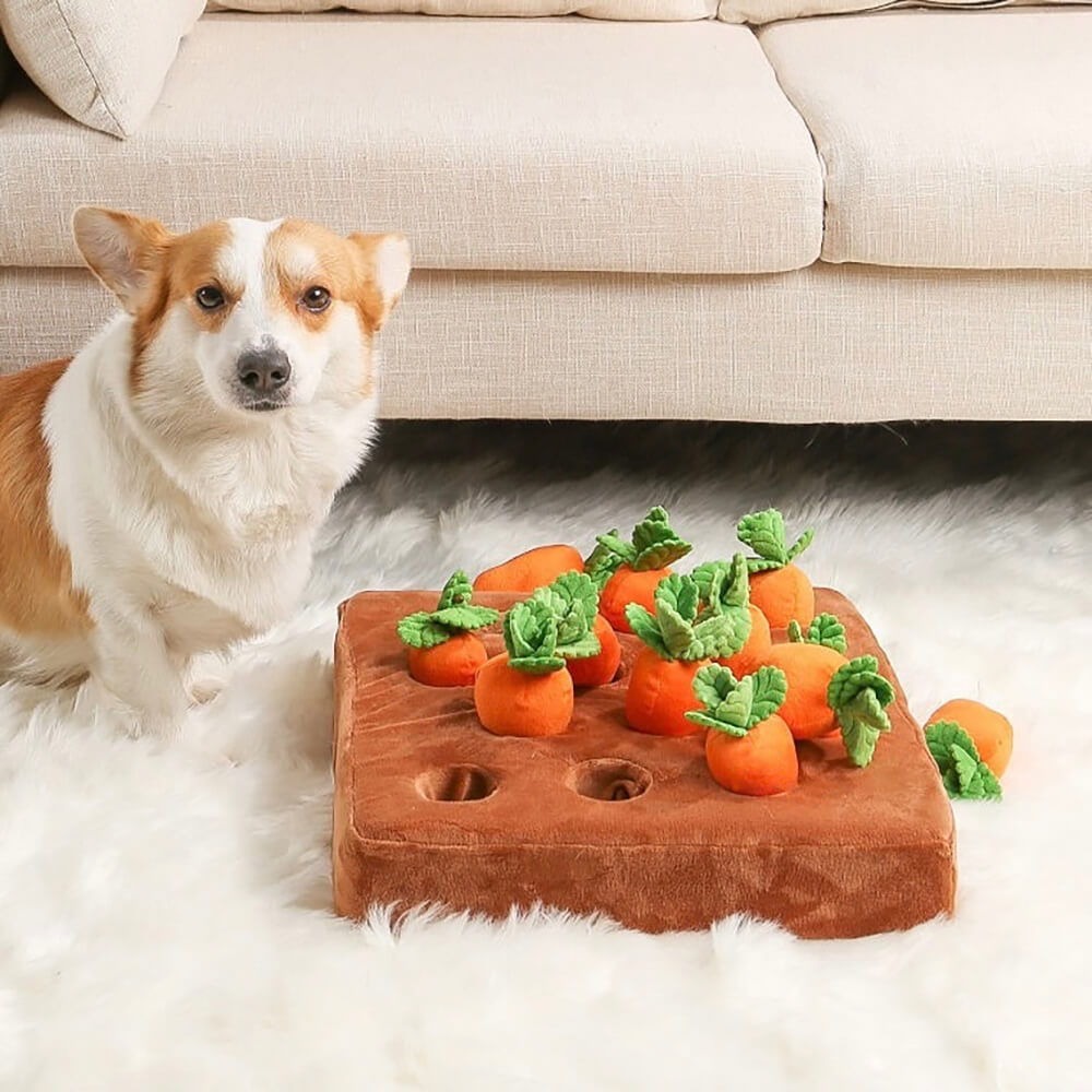 Carrot Patch Dog Snuffle Toy- 