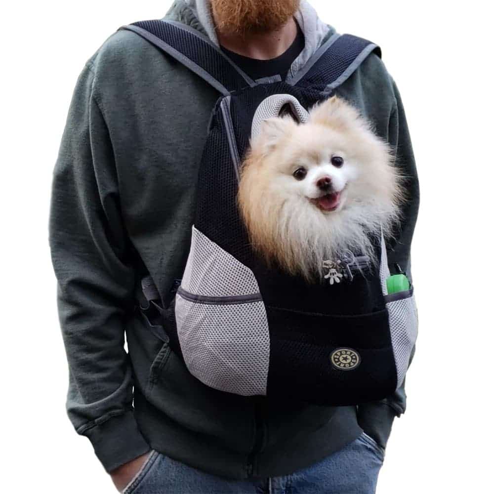 Dog Backpack- 