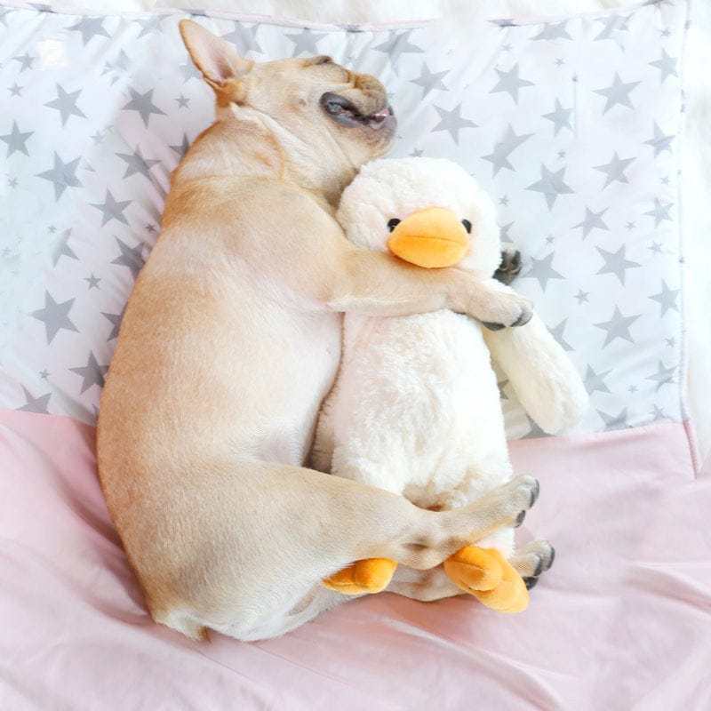 Dog Plush Toys- 