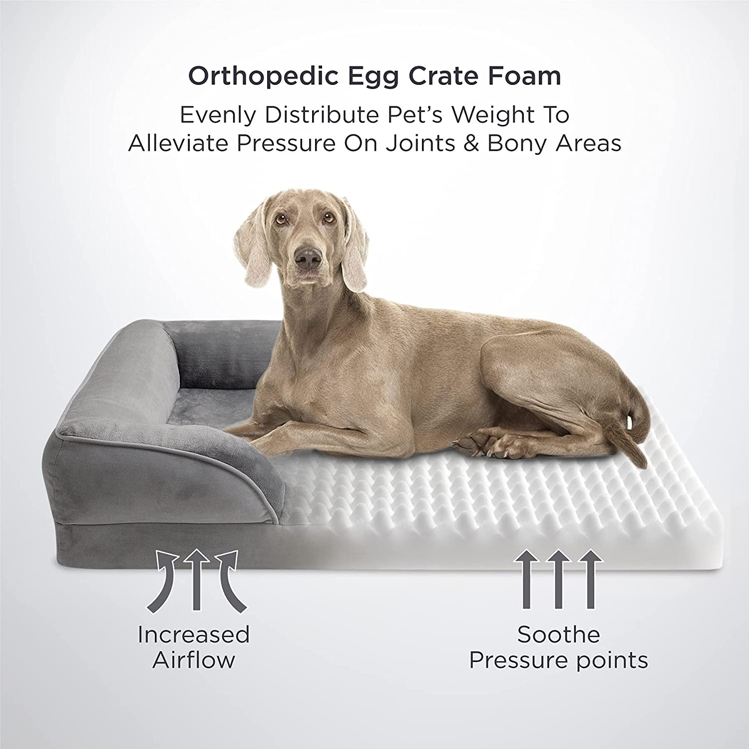 Dog Sofa Bed- 