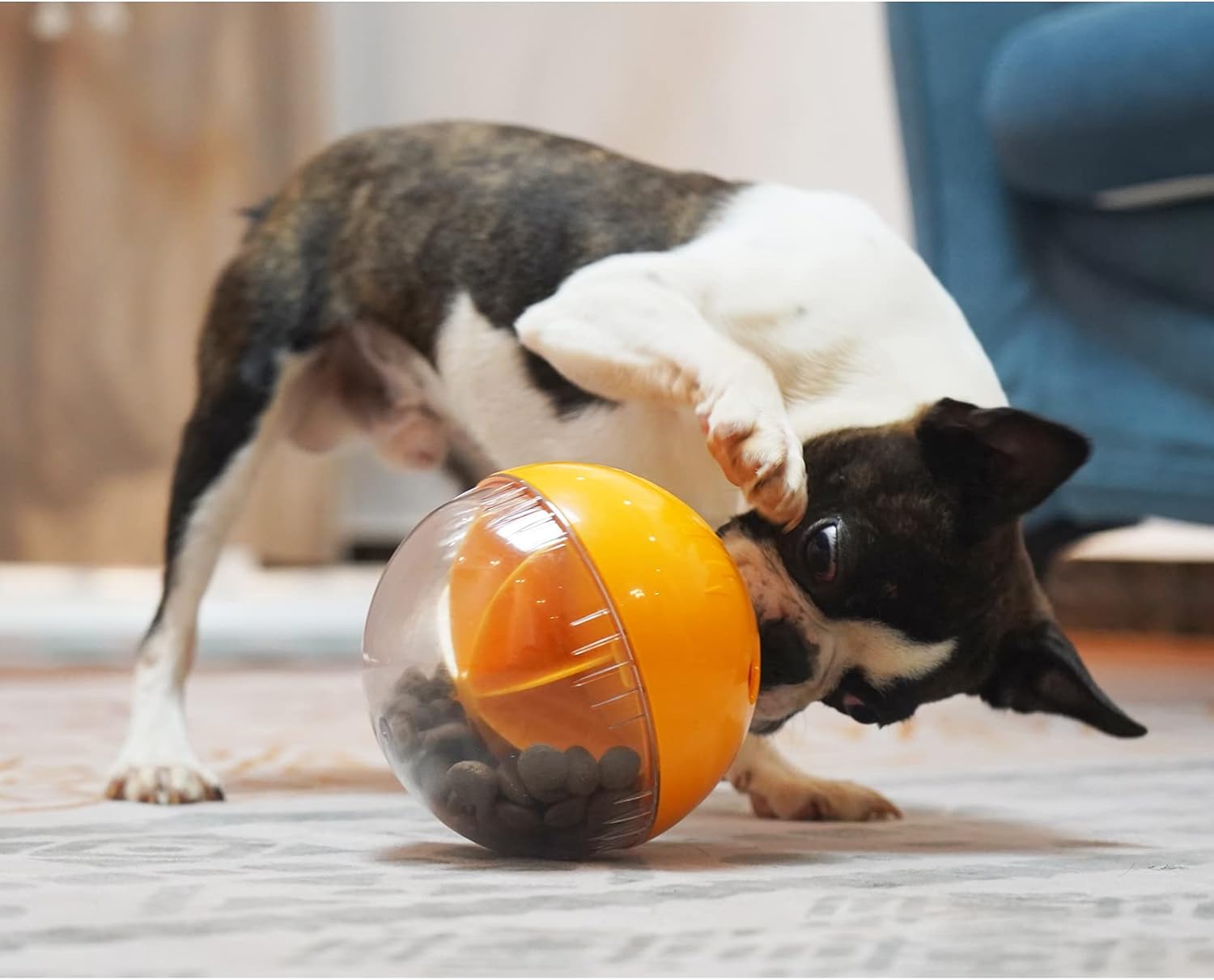 Dog Treat Ball- 