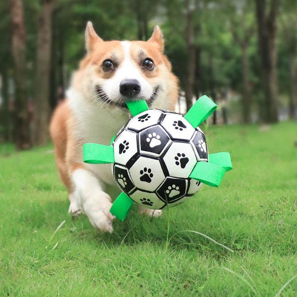 Interactive Soccer Ball- 