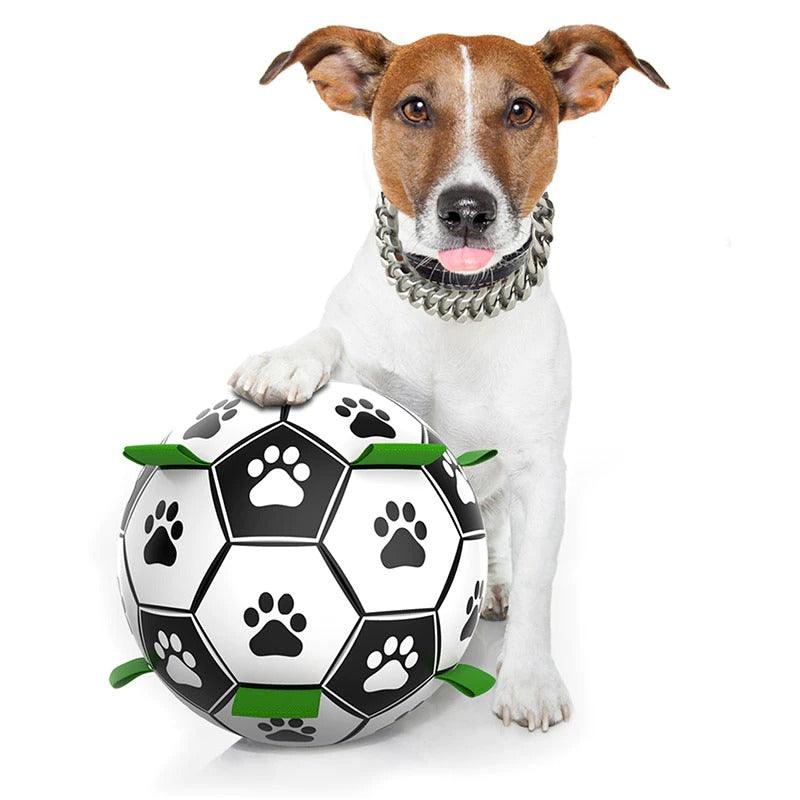 Interactive Soccer Ball- 