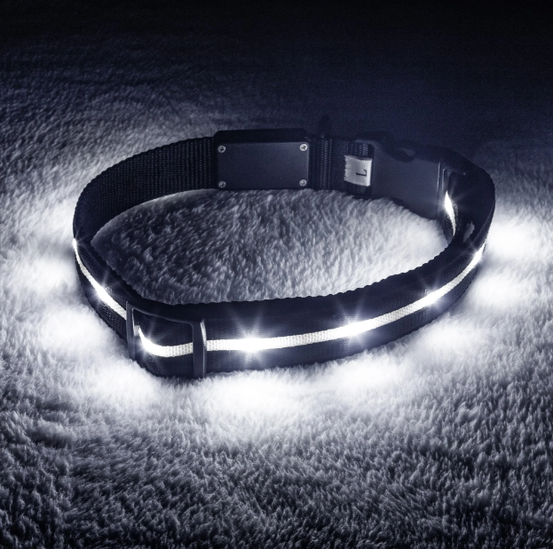 LED Dog Collar- 7890324358