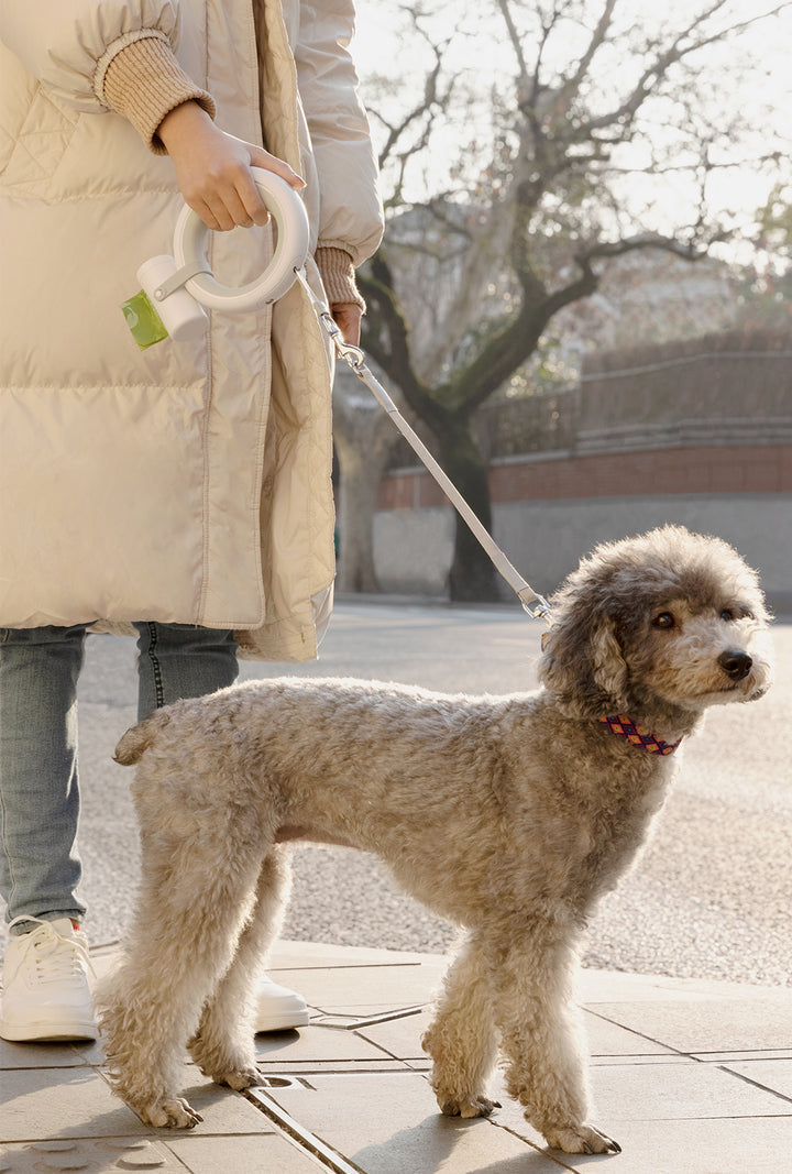 Smart LED Retractable Dog Leash- 