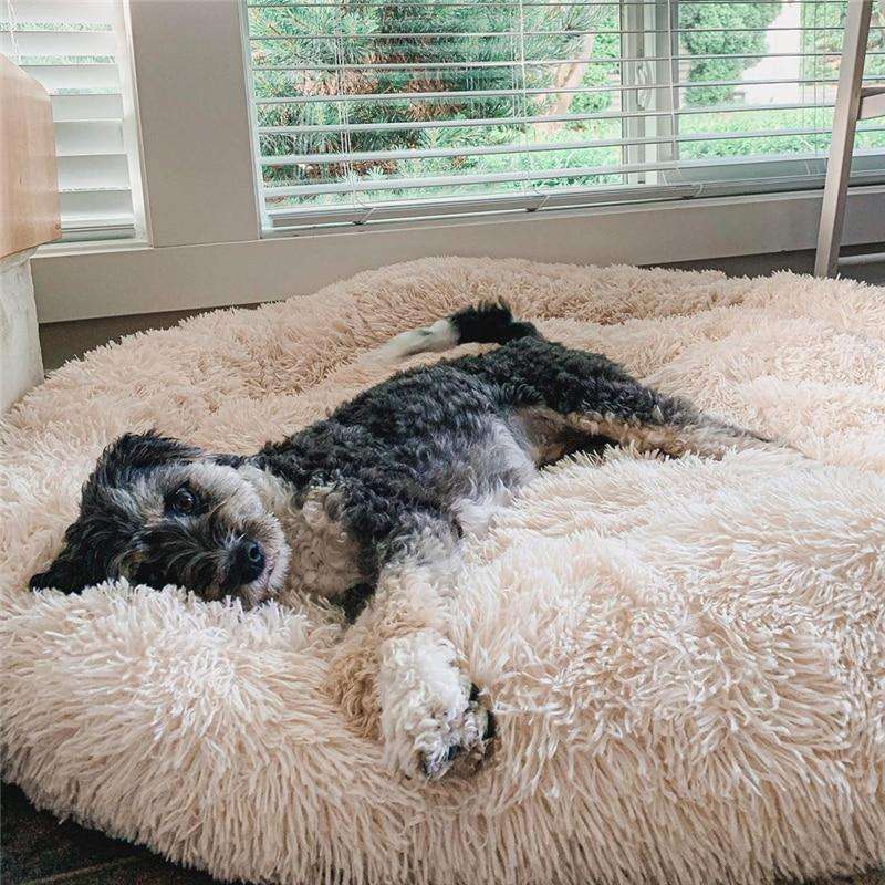 The Premium Anxiety-Relieving Dog Bed- 7890324456